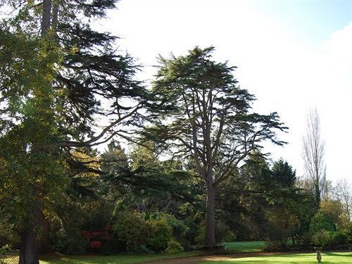 Langaller Manor House Taunton Exteriör bild